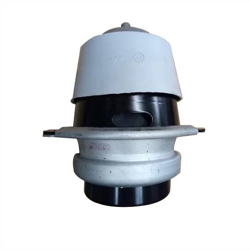 Audi Car Engine Mounting