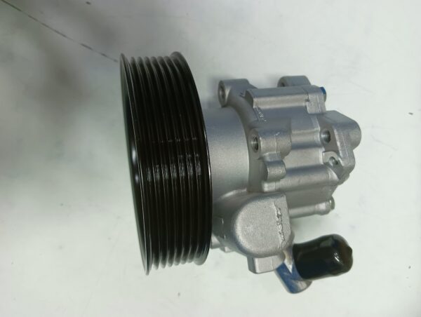 Power Staring Pump 0054660001